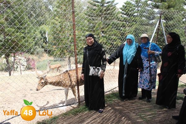 re7la mo2asaasa 0521 (7).JPG